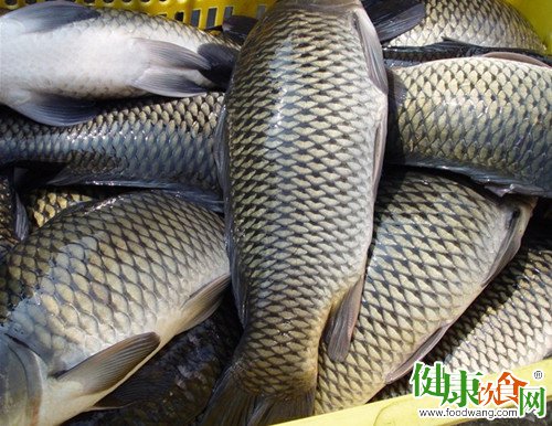 給淡水魚去腥味的幾種方法